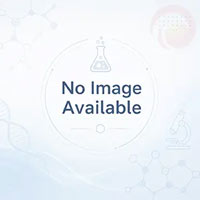 T-Bright Plus Sinterofen PDF-Katalog