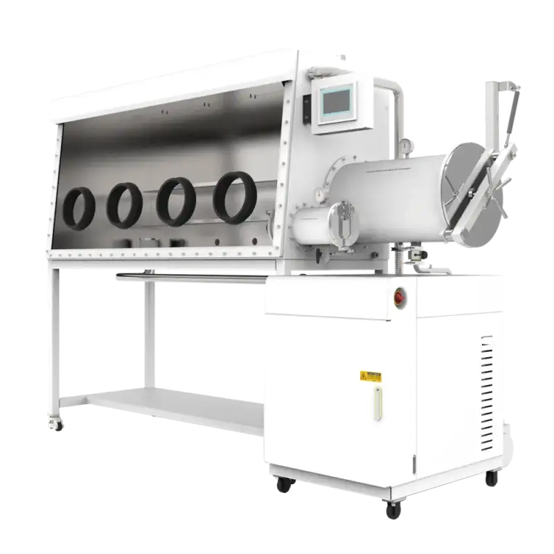 glove box with purification system