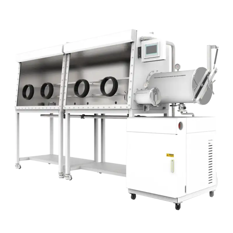 glove box with purification system