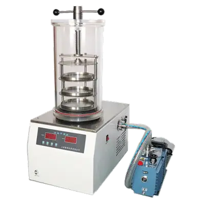 Vacuum Freeze-Drying Oven: Principles, Applications, and Selection Guide for Laboratory and Industrial Use